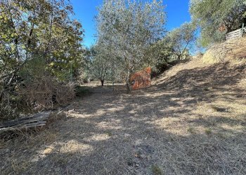 Foto 31 - Villa Via Costa da Moglia, Arnasco - foto 31