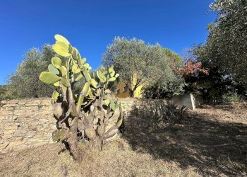 Foto 32 - Villa Via Costa da Moglia, Arnasco - foto 32