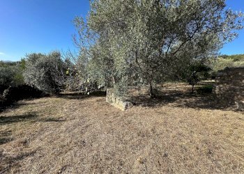 Foto 33 - Villa Via Costa da Moglia, Arnasco - foto 33