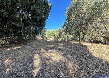 Foto 36 - Villa Via Costa da Moglia, Arnasco - foto 36