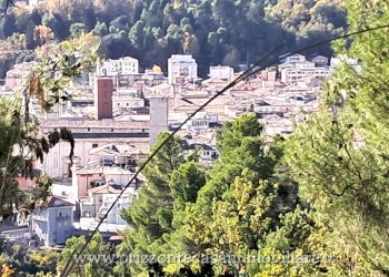 Foto 13 - Villa Ascoli Piceno - foto 13