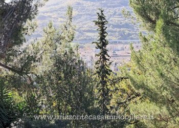 Foto 16 - Villa Ascoli Piceno - foto 16