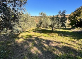 Foto 10 - Independent house contrada boschetto
 
snc, Montegiorgio - photo 10