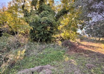 Foto 11 - Independent house contrada boschetto
 
snc, Montegiorgio - photo 11