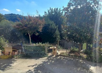 Foto 9 - Casa semi indipendente Virgil Grissom 1
1, Falerone - foto 9