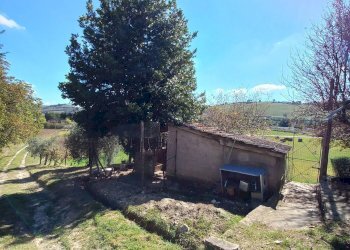 Foto 28 - Casa semi indipendente Virgil Grissom 1
1, Falerone - foto 28