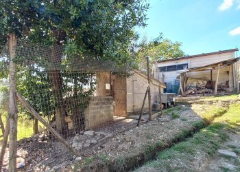 Foto 29 - Casa semi indipendente Virgil Grissom 1
1, Falerone - foto 29