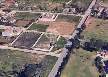 Foto 1 - Terreno edificabile Via Spongano
 
SN, Cellino San Marco - foto 1