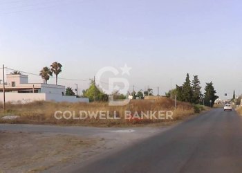 Foto 3 - Terreno edificabile Via Spongano
 
SN, Cellino San Marco - foto 3