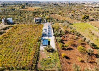 Foto 17 - Ufficio Strada La Trofa
 
20, Bari - foto 17