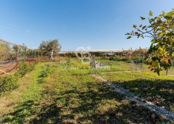 Foto 12 - Trilocale Strada La Trofa
 
20, Bari - foto 12