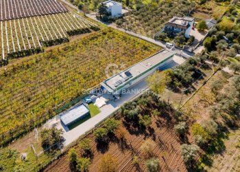 Foto 18 - Trilocale Strada La Trofa
 
20, Bari - foto 18