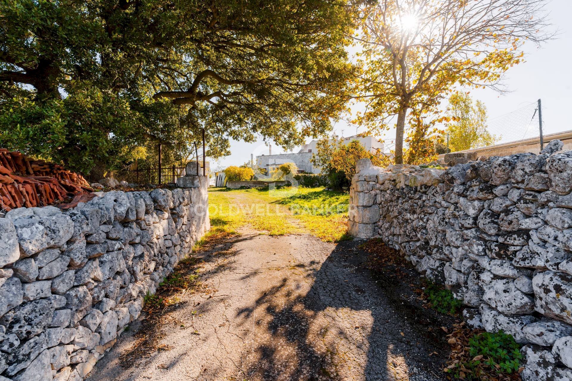 Foto 2 - Rustic Strada comunale Monteserio
 
3, Putignano - photo 2