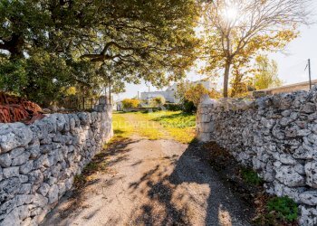 Foto 2 - Rustico Strada comunale Monteserio
 
3, Putignano - foto 2