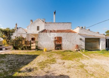 Foto 3 - Rustico Strada comunale Monteserio
 
3, Putignano - foto 3