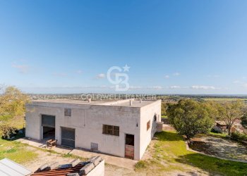 Foto 18 - Rustico Strada comunale Monteserio
 
3, Putignano - foto 18