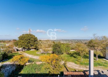 Foto 20 - Rustico Strada comunale Monteserio
 
3, Putignano - foto 20