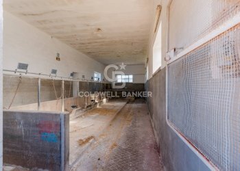 Foto 21 - Rustico Strada comunale Monteserio
 
3, Putignano - foto 21