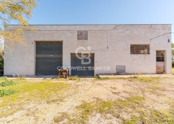 Foto 22 - Rustico Strada comunale Monteserio
 
3, Putignano - foto 22