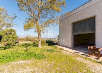 Foto 23 - Rustico Strada comunale Monteserio
 
3, Putignano - foto 23