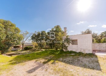 Foto 25 - Rustico Strada comunale Monteserio
 
3, Putignano - foto 25