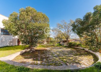 Foto 26 - Rustico Strada comunale Monteserio
 
3, Putignano - foto 26