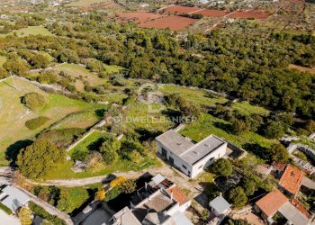 Foto 32 - Rustico Strada comunale Monteserio
 
3, Putignano - foto 32