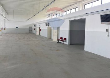 Interni Capannone - Capannone Circonvalazione, Tuglie - foto 4