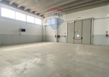 Interni Capannone - Capannone Circonvalazione, Tuglie - foto 12