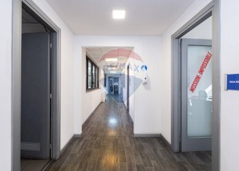 Hall / corridoio - Stabile - Palazzo Via Alessandro Allori
 
9, Roma - foto 8