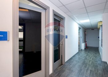 Hall / corridoio - Stabile - Palazzo Via Alessandro Allori
 
9, Roma - foto 16