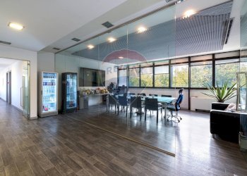 Sala da pranzo - Stabile - Palazzo Via Alessandro Allori
 
9, Roma - foto 24