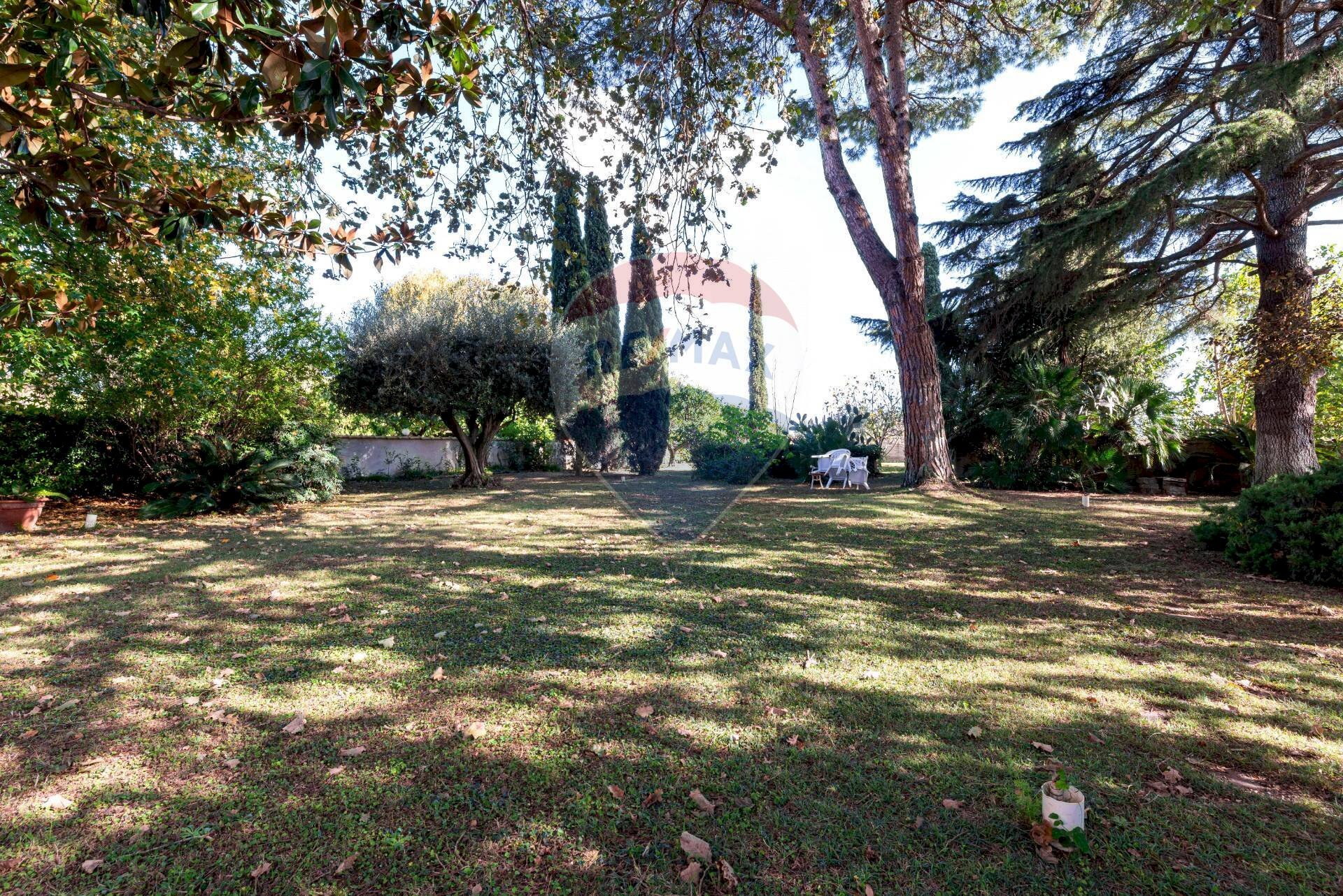 Giardino - Villa Via Aristofane, Roma - foto 3