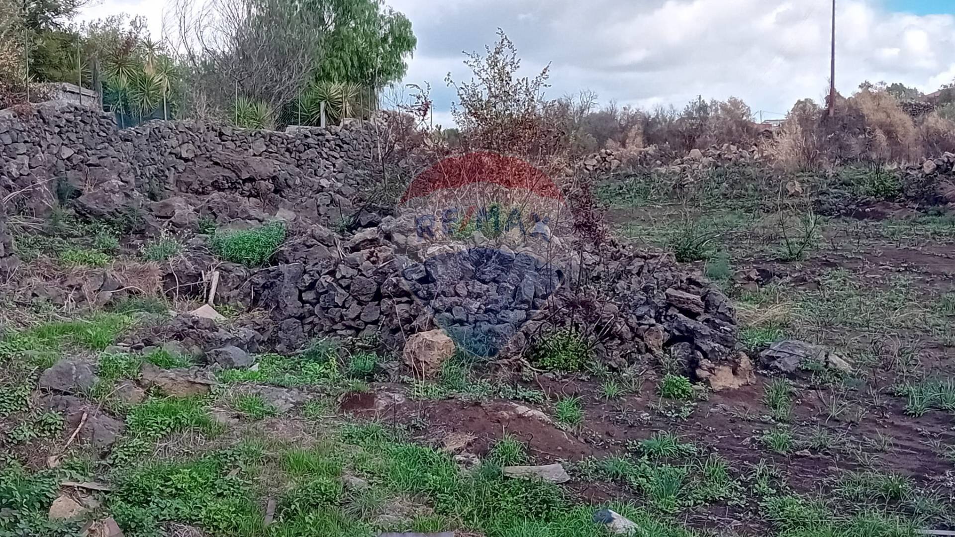 Giardino - Terreno agricolo Via De Curtis, Misterbianco - foto 3