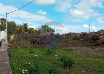 Giardino - Terreno agricolo Via De Curtis, Misterbianco - foto 2