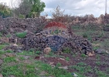 Giardino - Terreno agricolo Via De Curtis, Misterbianco - foto 3