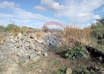Non correlato - Terreno agricolo Via De Curtis, Misterbianco - foto 8