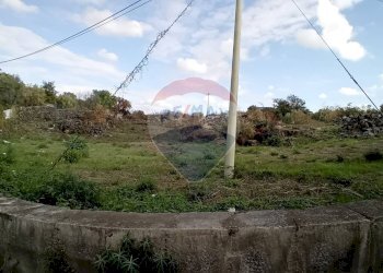 Giardino - Terreno agricolo Via De Curtis, Misterbianco - foto 9