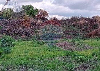 Giardino - Terreno agricolo Via De Curtis, Misterbianco - foto 10