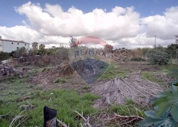 Giardino - Terreno agricolo Via De Curtis, Misterbianco - foto 11