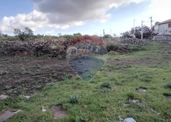 Non correlato - Terreno agricolo Via De Curtis, Misterbianco - foto 12