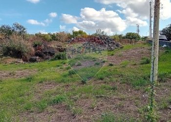 Giardino - Terreno agricolo Via De Curtis, Misterbianco - foto 13