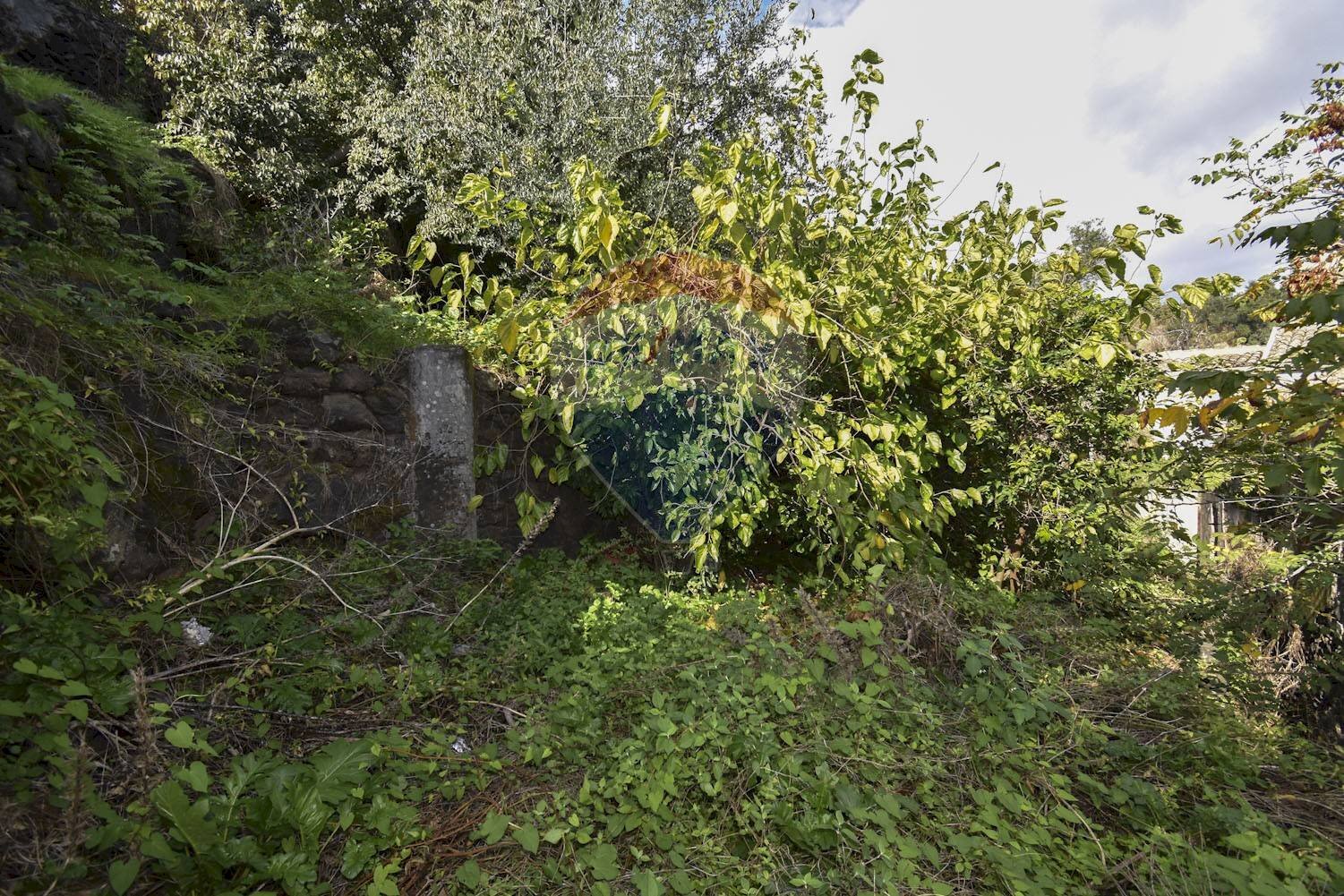 Giardino - Rustico Via Provinciale Per Riposto
 
41, Acireale - foto 2