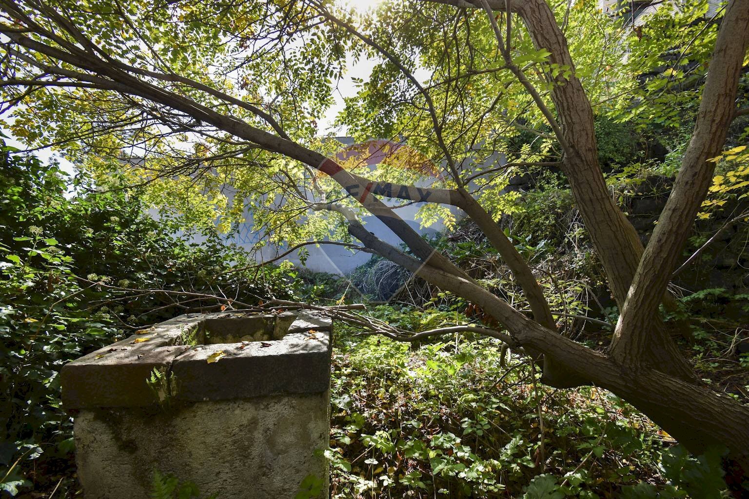 Giardino - Rustico Via Provinciale Per Riposto
 
41, Acireale - foto 3