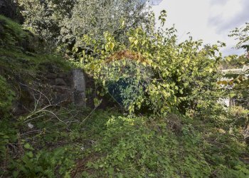 Giardino - Rustico Via Provinciale Per Riposto
 
41, Acireale - foto 2