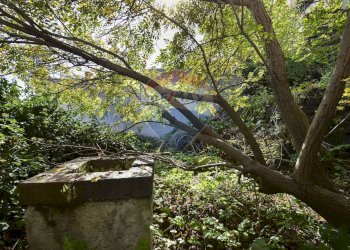 Giardino - Rustico Via Provinciale Per Riposto
 
41, Acireale - foto 3