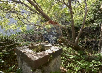 Giardino - Rustico Via Provinciale Per Riposto
 
41, Acireale - foto 15