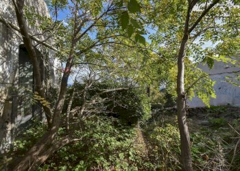 Giardino - Rustico Via Provinciale Per Riposto
 
41, Acireale - foto 6