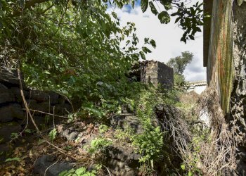 Giardino - Rustico Via Provinciale Per Riposto
 
41, Acireale - foto 7