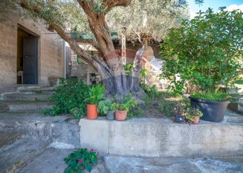 Giardino - Casa indipendente Via Croce Del Vicario
 
139, Caltagirone - foto 13